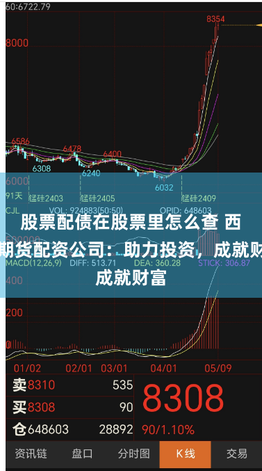 股票配债在股票里怎么查 西安期货配资公司：助力投资，成就财富