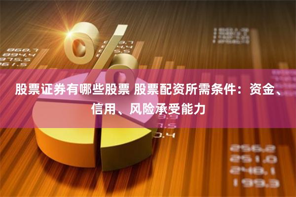 股票证券有哪些股票 股票配资所需条件：资金、信用、风险承受能力