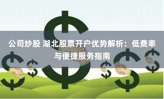 公司炒股 湖北股票开户优势解析：低费率与便捷服务指南