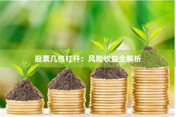 股票几倍杠杆：风险收益全解析
